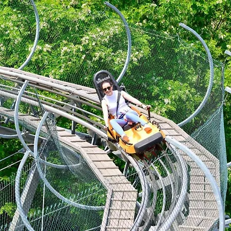 Zempleni Szello Vendeghaz Apartment